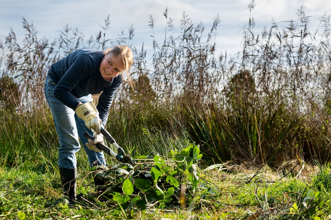 Vrijwilligers gezocht voor nieuwe landgoedwerkgroep De Lieskamp Wageningen